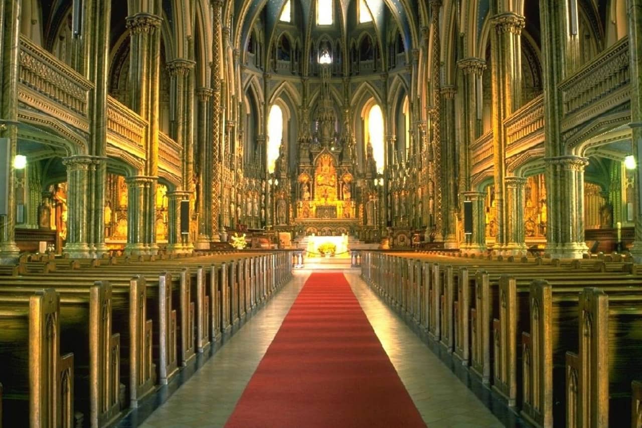 Non Profit Wordpress Theme - Portfolio