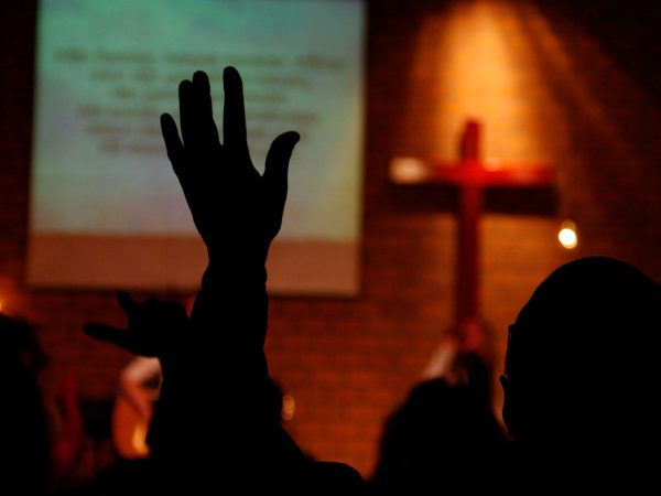 Non Profit WordPress Theme - Slider